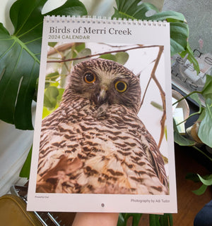Birds of Merri Creek Calendar